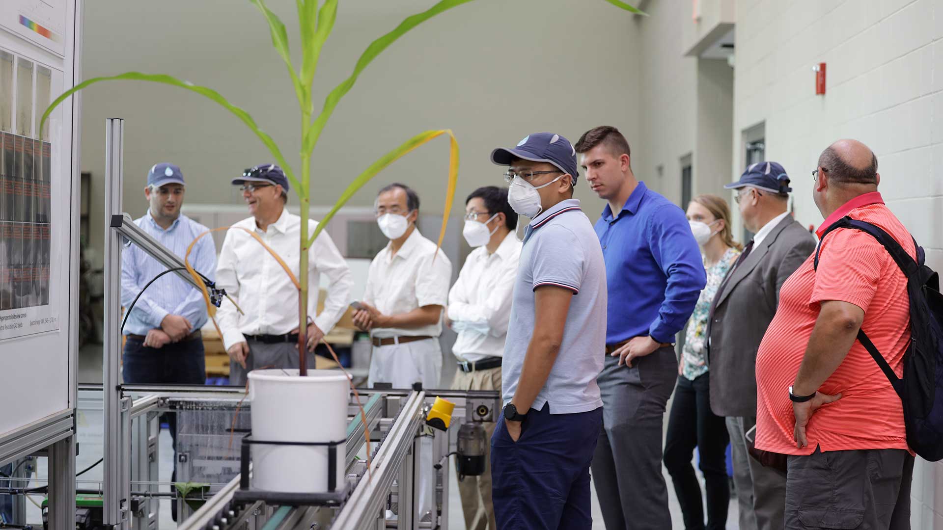 Small group looking at corn growing in container