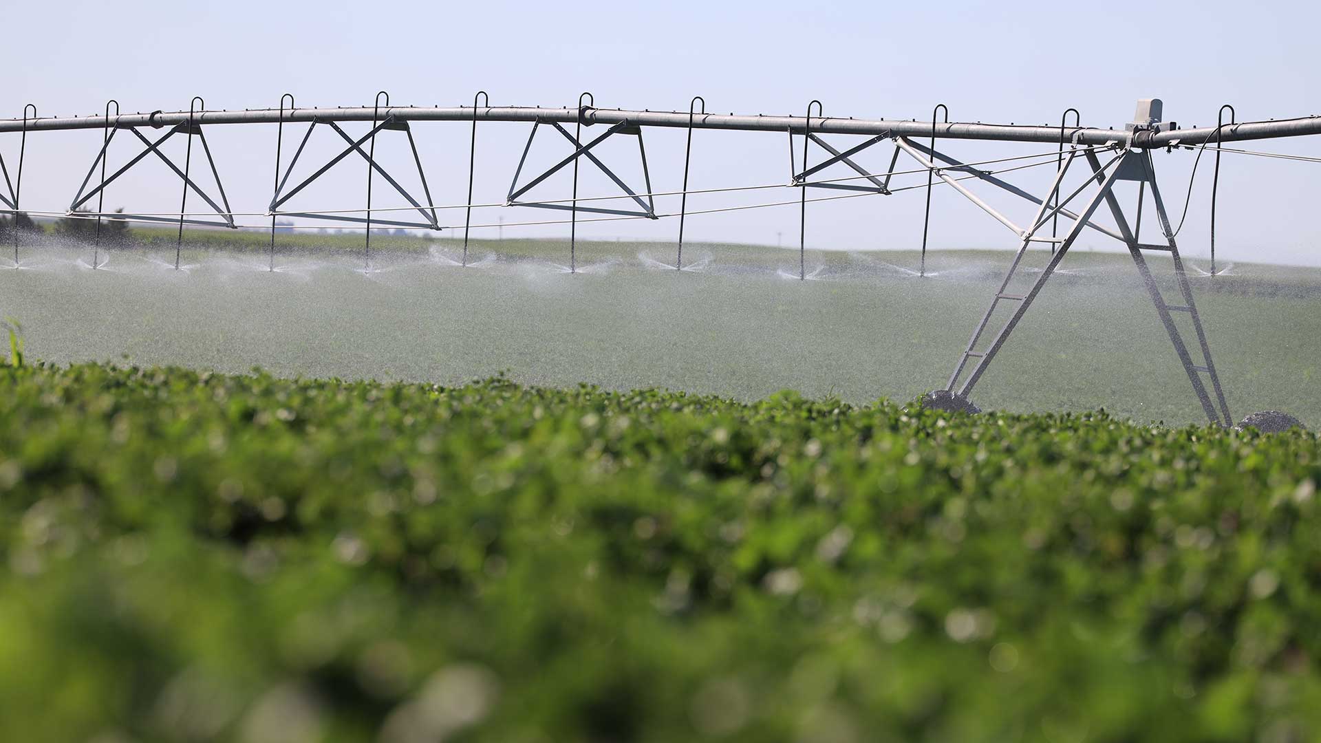 Center pivot running in field