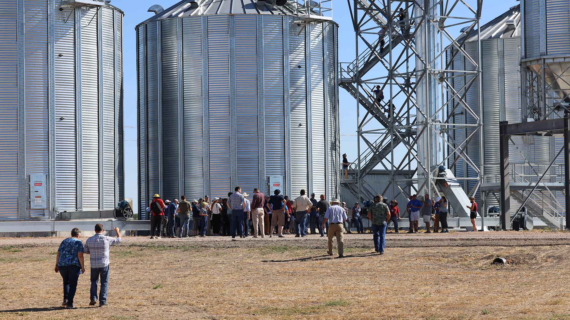 Small crowd in distance beside grain bins