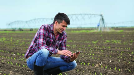 Person looking at smartphone while in field