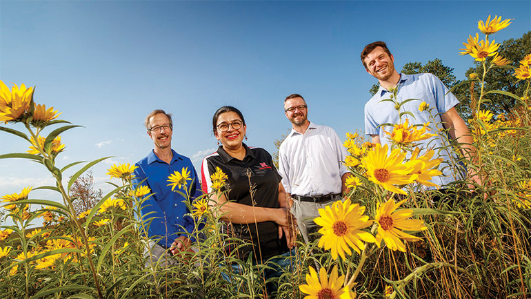 Four people standing in field of yellow flowers
