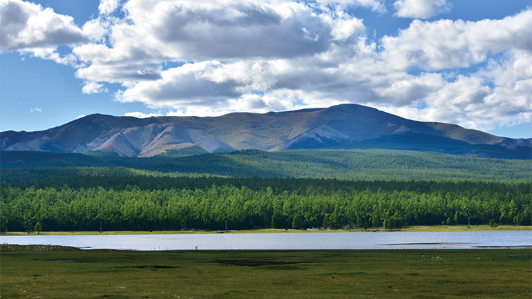 River and trees in front of mountains