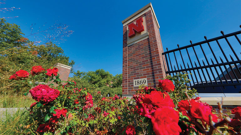 Red flowers in front of fence
